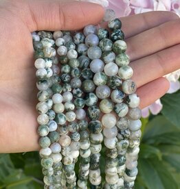 Tree Agate Beads Polished 15" Strand 4mm 6mm 8mm