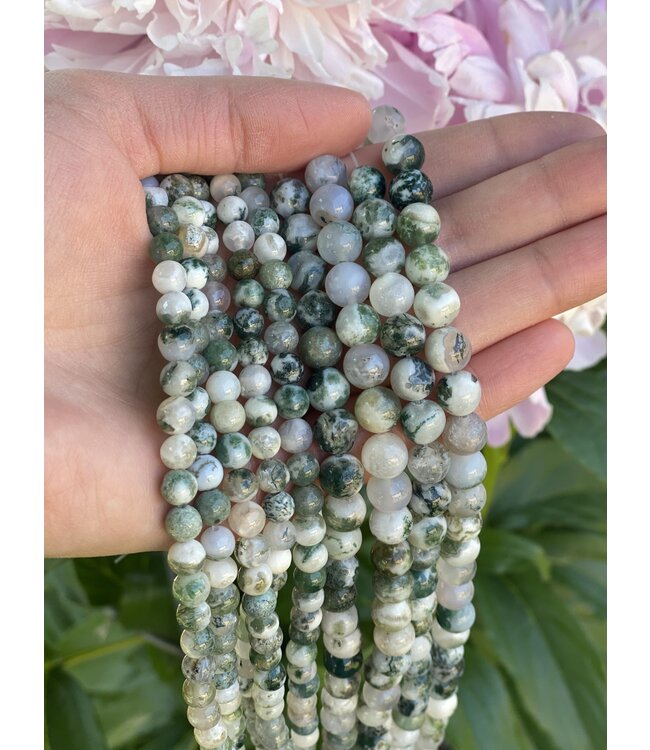 Tree Agate Beads Polished 15" Strand 4mm 6mm 8mm