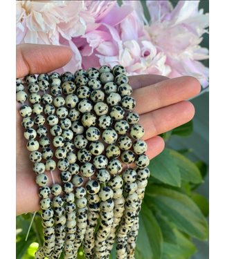 Dalmatian Jasper Beads Polished 15" Strand 6mm 8mm