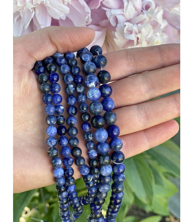 Sodalite Beads Polished 15" Strand 6mm 8mm 10mm