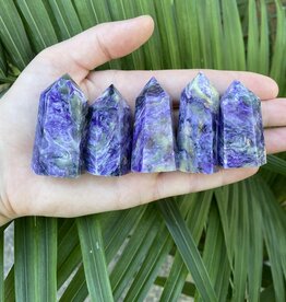 Charoite Point, Size Small [25-49gr]