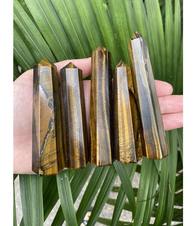 Tiger Eye Point, Size Medium [50-74gr]