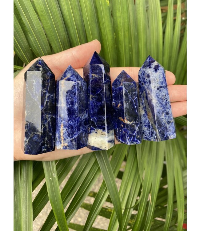 Sodalite Point, Size Medium [50-74gr]
