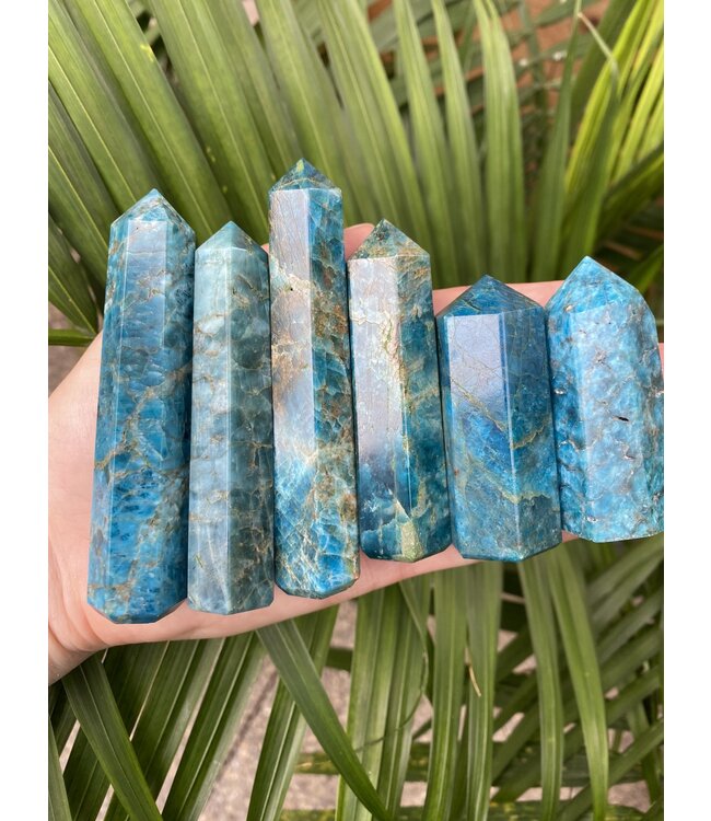 Apatite Point, Size Large [75-99gr]
