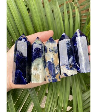 Sodalite Point, Size Large [75-99gr]