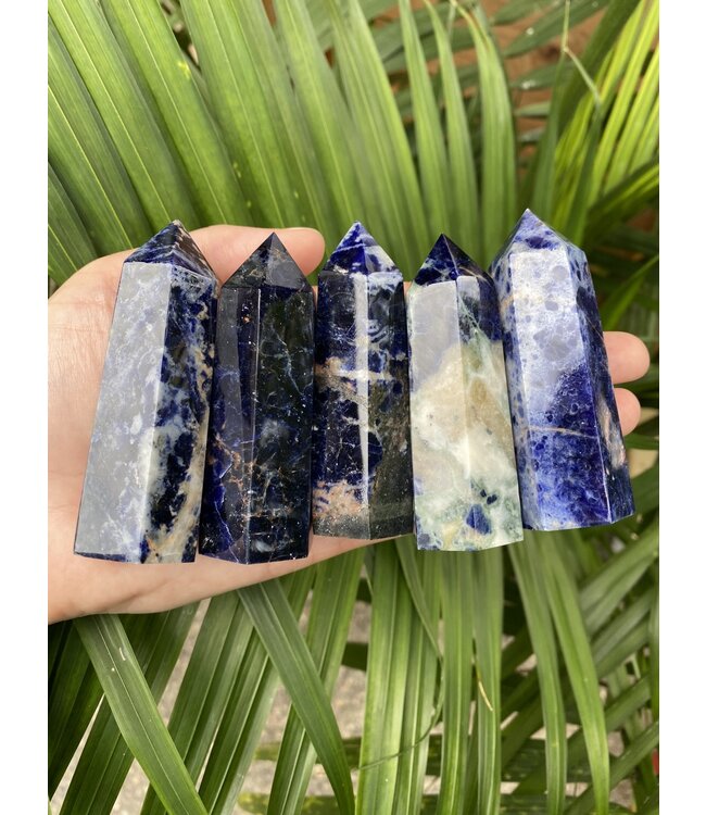 Sodalite Point, Size Large [75-99gr]