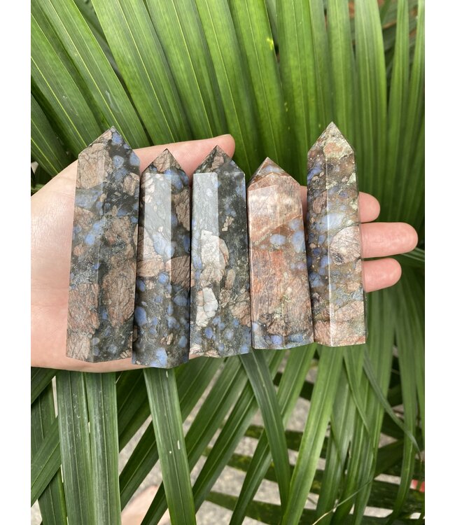 Que Sera Point, Size Large [75-99gr]