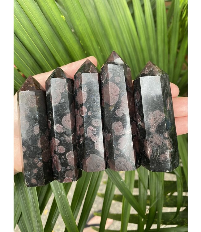 Garnet Point, Size X-Large [100-124gr]