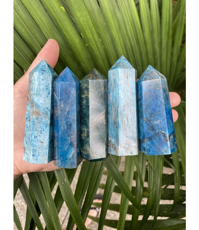Apatite Point, Size X-Large [100-124gr]