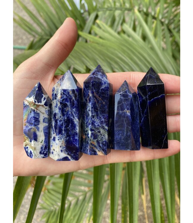 Sodalite Point, Size Small [25-49gr]