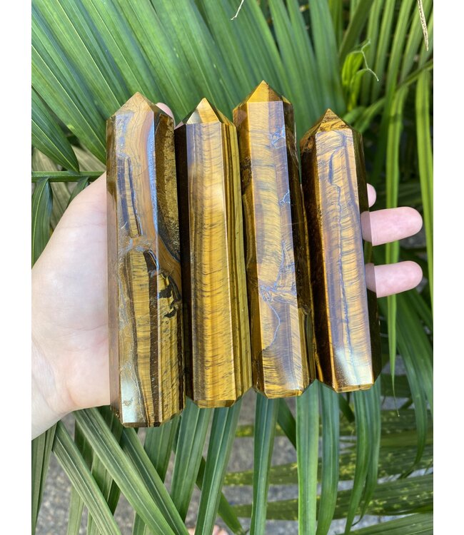 Tiger Eye Point, Size Jumbo [150-174gr]