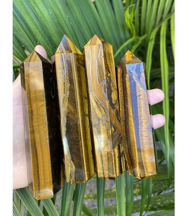 Tiger Eye Point, Size Jumbo [150-174gr]