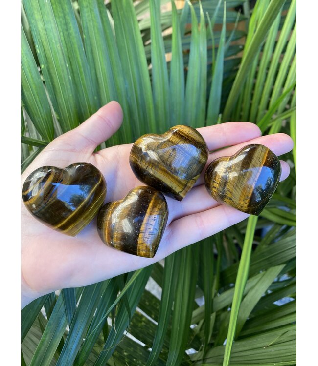 Tiger Eye Heart, Size X-Small [50-74gr]