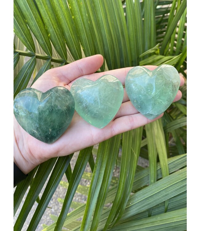 Green Fluorite Heart, Size Medium [100-124gr]