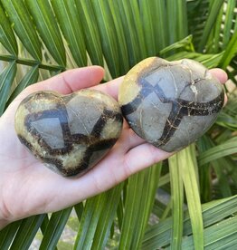 Septarian Heart, Size XX-Large [175-199gr] *disc.*
