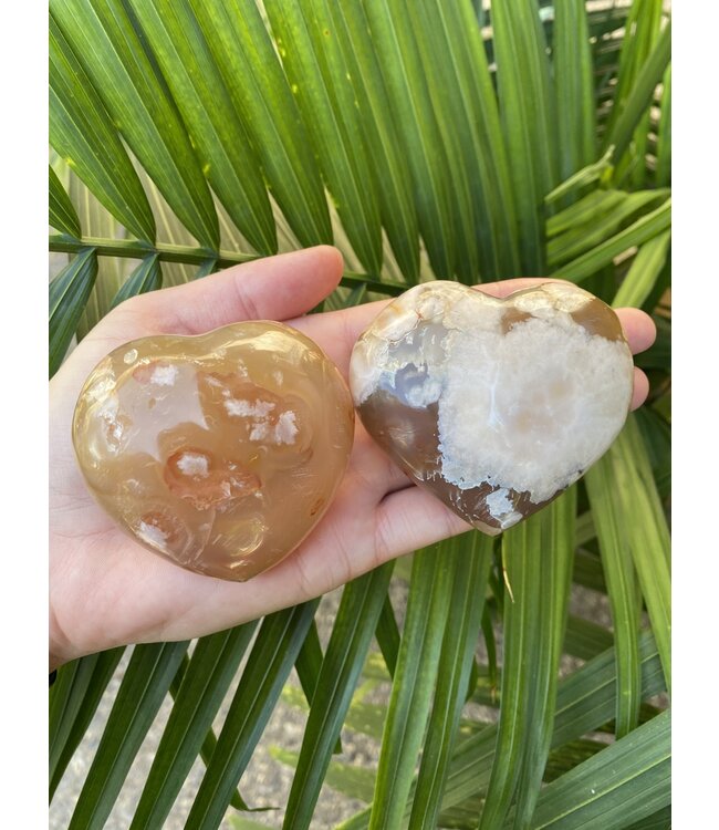 Flower Agate Heart, Size Jumbo [200-224gr]