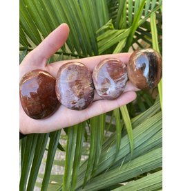 Petrified Wood Palm Stone, Size X-Small [50-74gr]