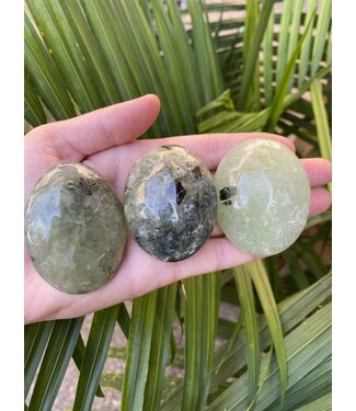 Prehnite Palm Stone, Size Small [75-99gr]