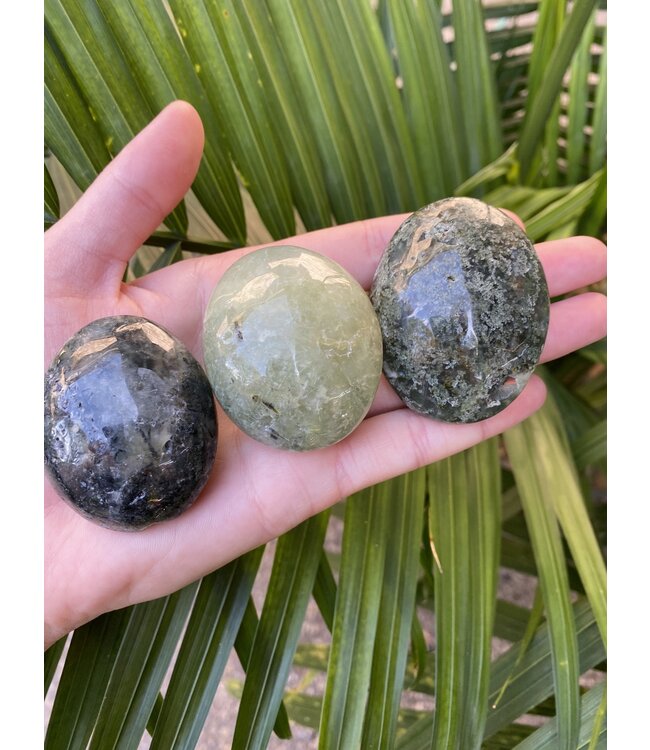 Prehnite Palm Stone, Size Small [75-99gr]