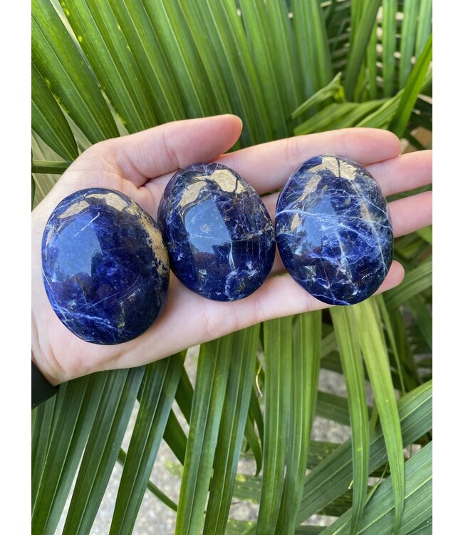 Sodalite Palm Stone, Size Small [75-99gr]
