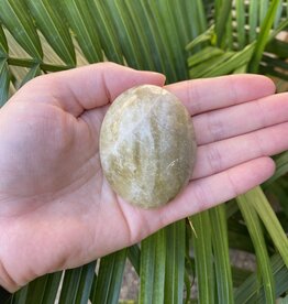 Citrine Palm Stone, Size Small [75-99gr]