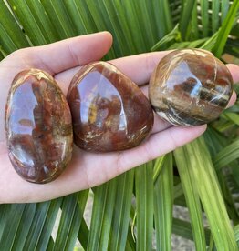 Petrified Wood Palm Stone, Size Small [75-99gr] *disc.*