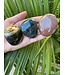 Ocean Jasper Palm Stone, Size Small [75-99gr]