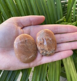 Peach Moonstone Palm Stone, Size XX-Small [25-49gr]