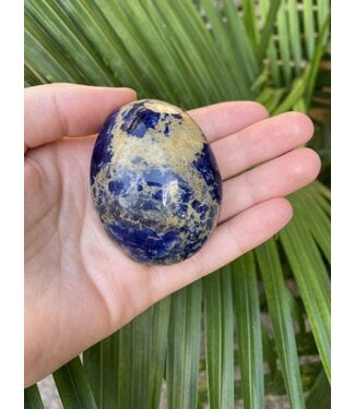 Sodalite Palm Stone, Size Medium [100-124gr]