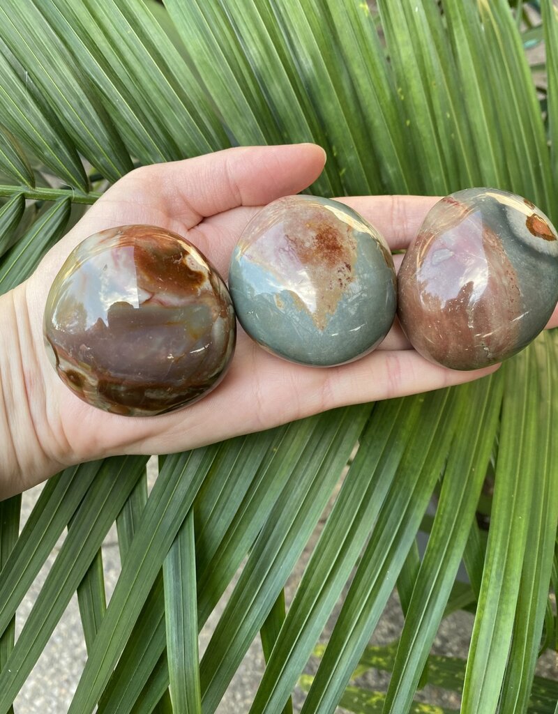 Polychrome Jasper Palm Stone, Size Medium [100-124gr]