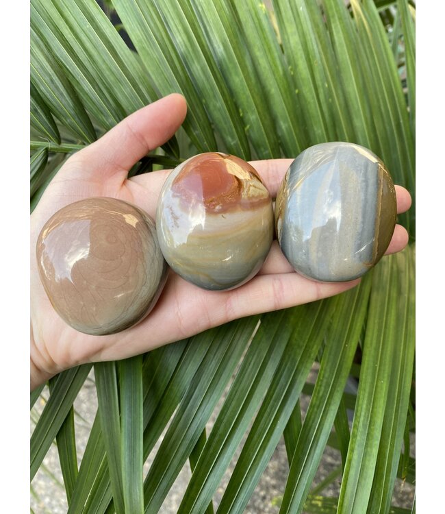 Polychrome Jasper Palm Stone, Size Medium [100-124gr]