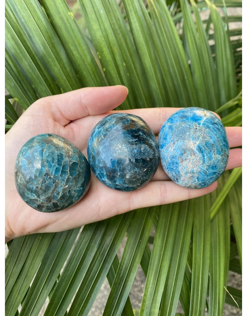 Apatite Palm Stone, Size Medium [100-124gr]