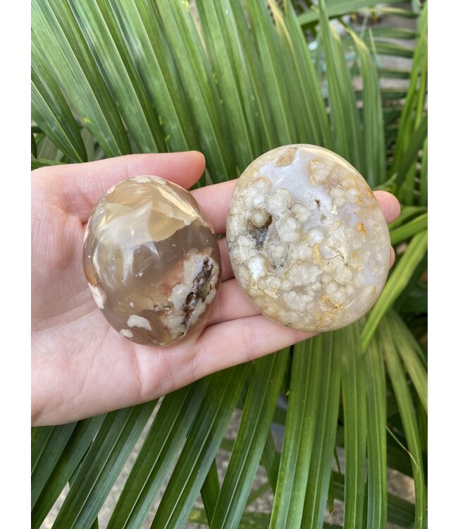 Flower Agate Palm Stone, Size Medium [100-124gr]