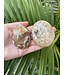 Flower Agate Palm Stone, Size Medium [100-124gr]