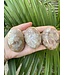 Flower Agate Palm Stone, Size Medium [100-124gr]