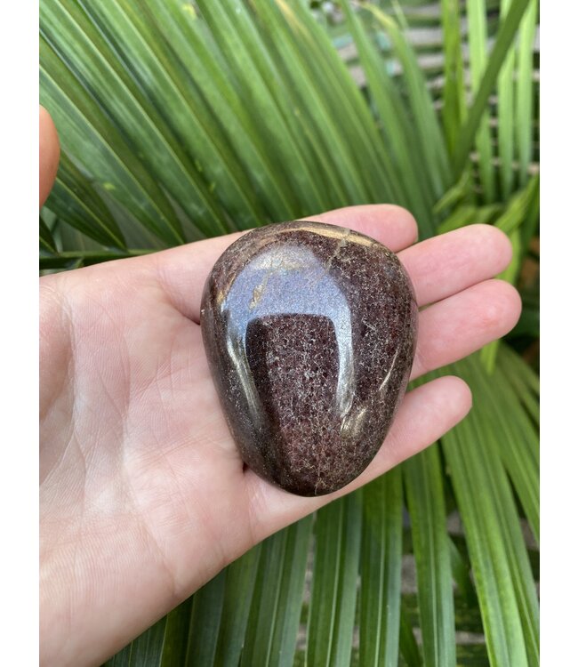 Garnet Palm Stone, Size Large [125-149gr]