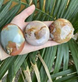 Polychrome Jasper Palm Stone, Size Large [125-149gr]