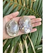 Flower Agate Palm Stone, Size Large [125-149gr]