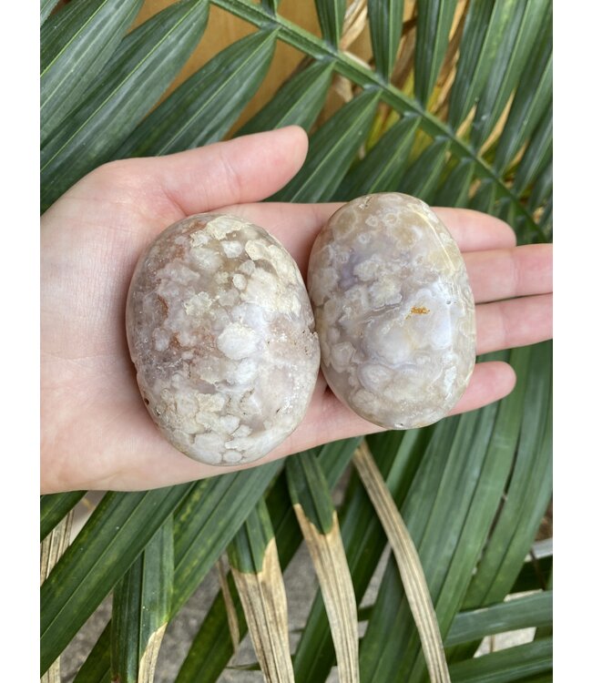Flower Agate Palm Stone, Size Large [125-149gr]
