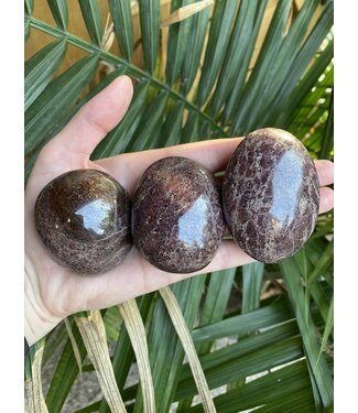 Garnet Palm Stone, Size X-Large [150-174gr]