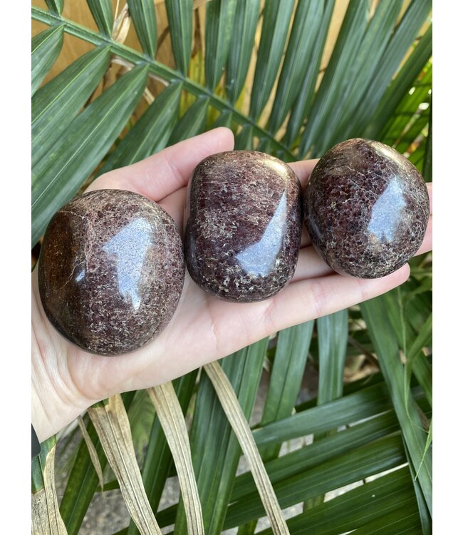 Garnet Palm Stone, Size X-Large [150-174gr]