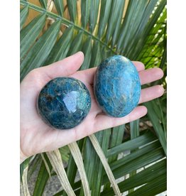 Apatite Palm Stone, Size X-Large [150-174gr]