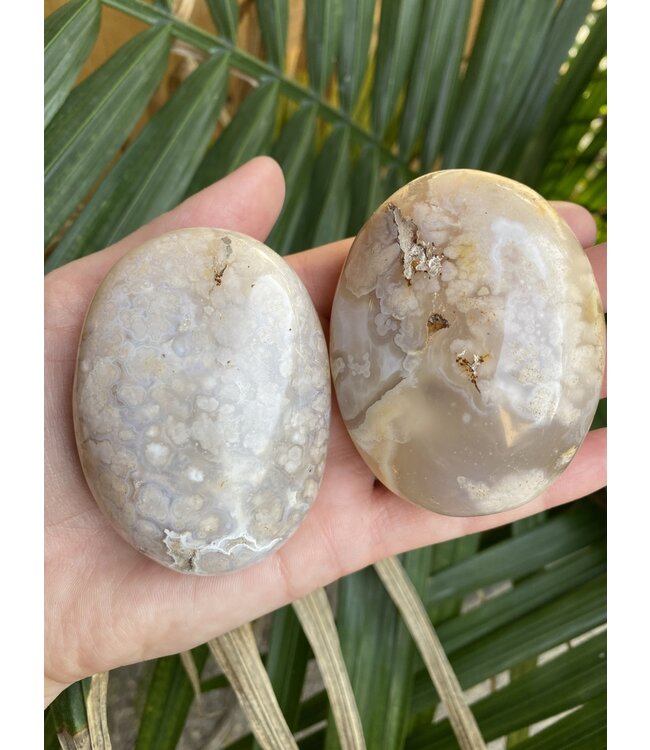 Flower Agate Palm Stone, Size X-Large [150-174gr]