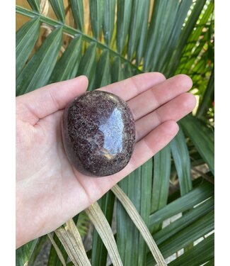Garnet Palm Stone, Size XX-Large [175-199gr]