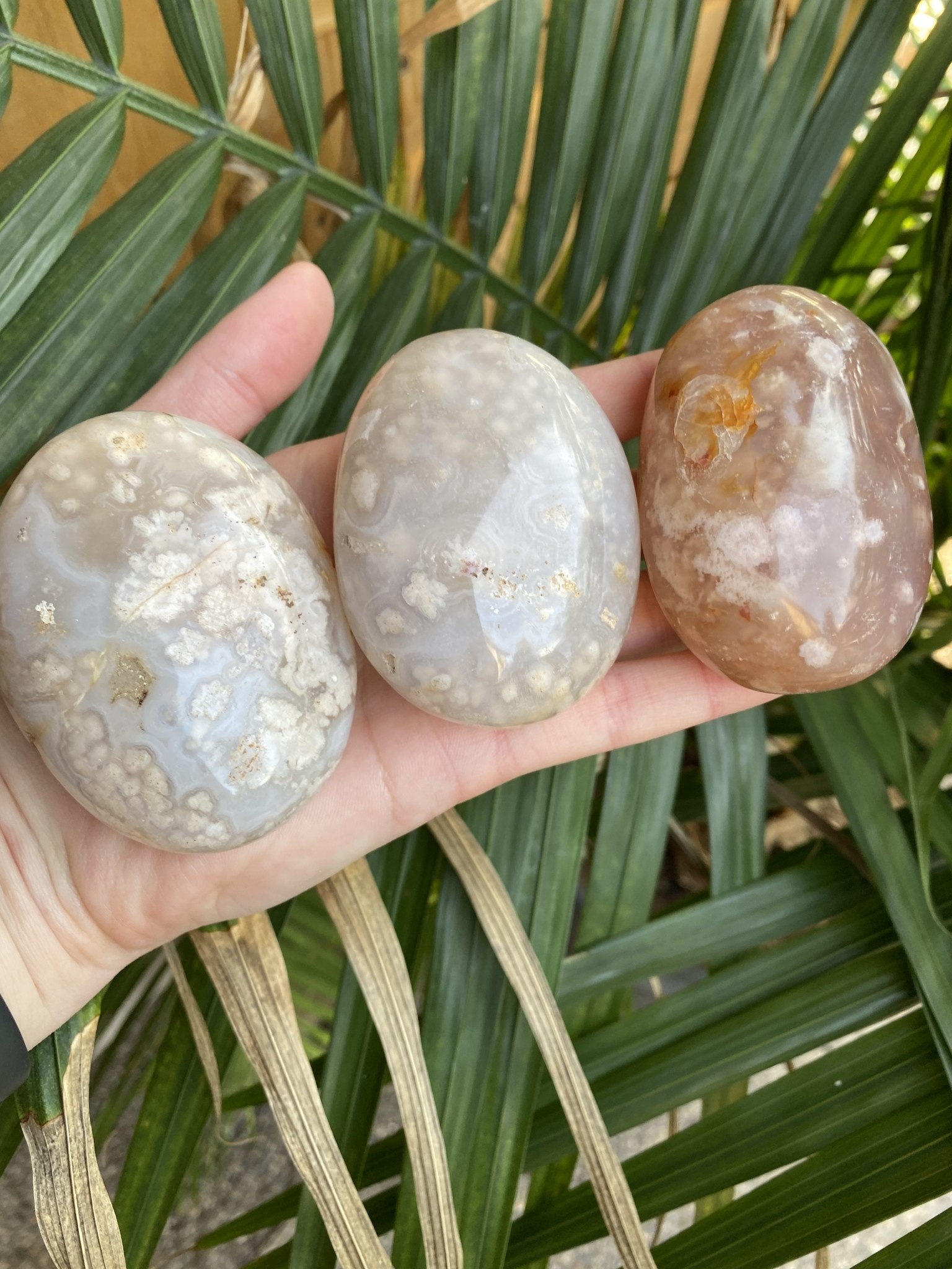 XXX Large Sardonyx Spheres XXX Large Sardonyx Spheres