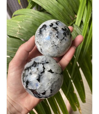 Rainbow Moonstone Sphere, 60-64mm
