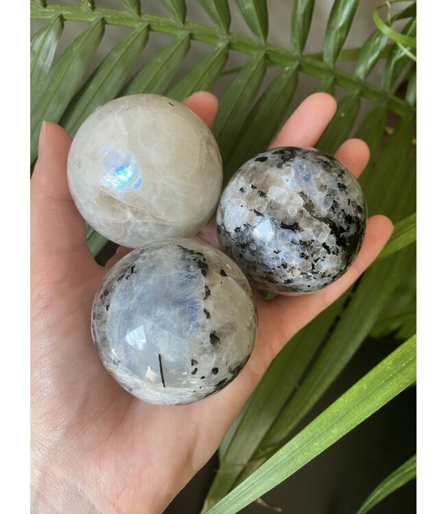 Rainbow Moonstone Sphere, 50-54mm