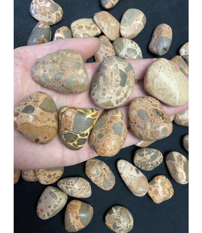 Leopardite Jasper Tumbled Stones, Polished Leopardite Jasper, Grade A; 4 sizes available, purchase individual or bulk