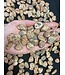 Leopardite Jasper Tumbled Stones, Polished Leopardite Jasper, Grade A; 4 sizes available, purchase individual or bulk
