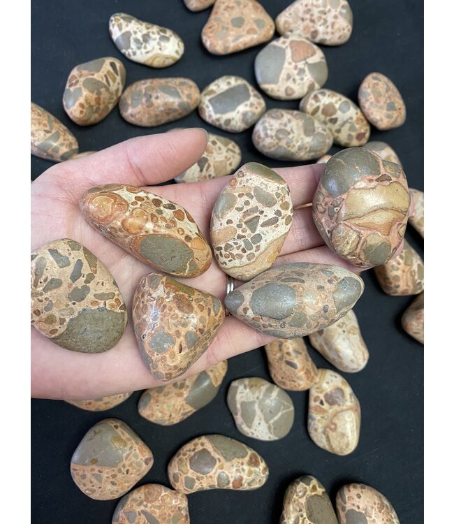 Leopardite Jasper Tumbled Stones, Polished Leopardite Jasper, Grade A; 4 sizes available, purchase individual or bulk